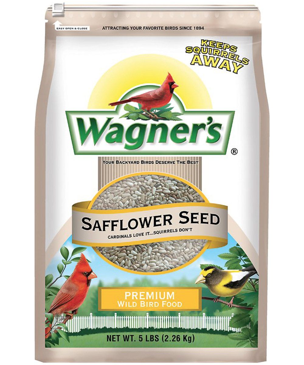 Nyjer Seed